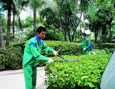广东怡轩园林驻场式绿化养护服务